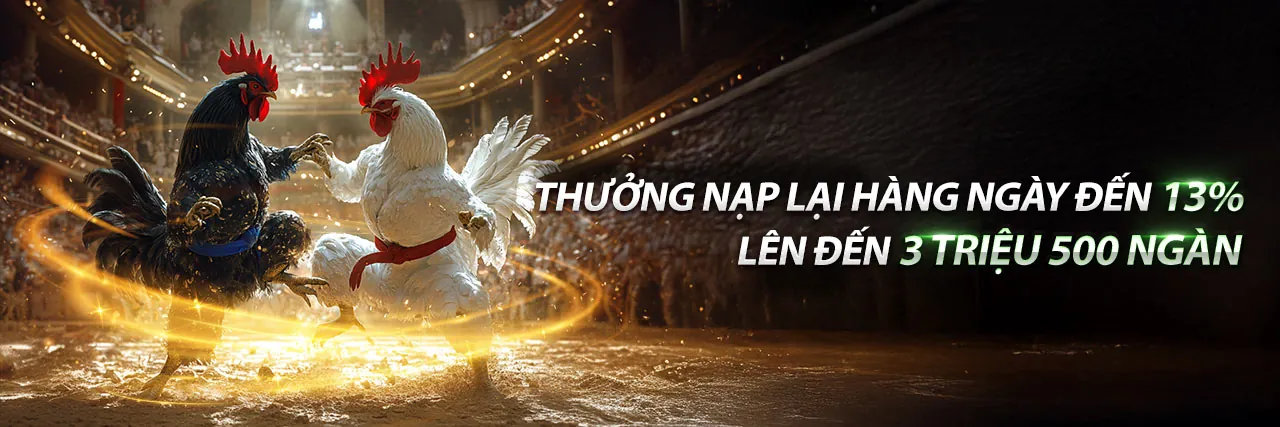 Đá Gà Trực Tuyến NN888 2026